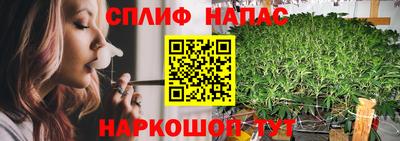 прущие крисы Абинск