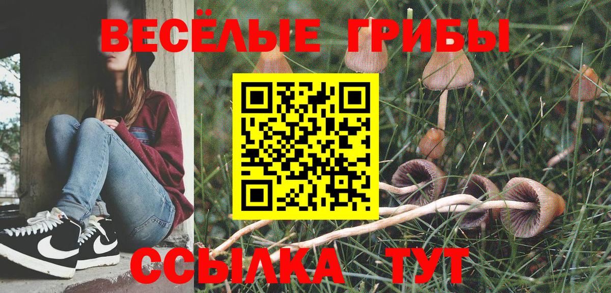 Псилоцибиновые грибы Psilocybine cubensis Алатырь